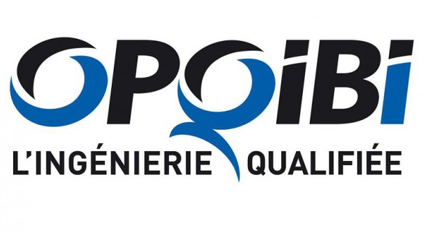 Logo opqibi 2